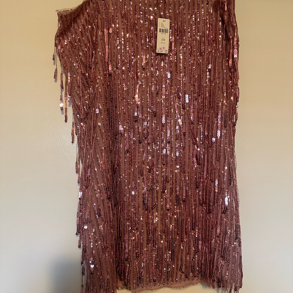 Sequin Fringe Dress in Pink